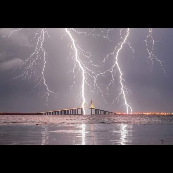 Meet your Posher, Tammy - Picture 1 of 1